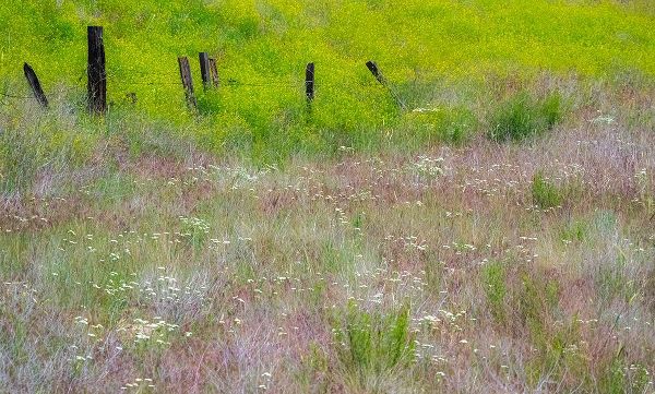 Gulin, Sylvia 아티스트의 USA-Washington State-Benge Wooden post fence and grasses on rolling hills작품입니다.